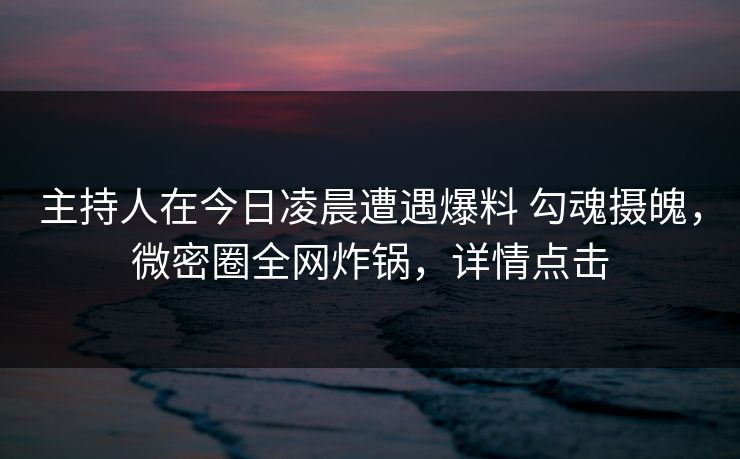 主持人在今日凌晨遭遇爆料 勾魂摄魄，微密圈全网炸锅，详情点击
