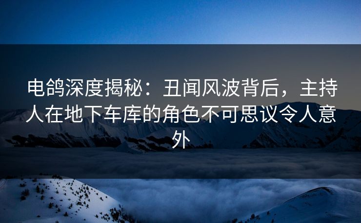 电鸽深度揭秘：丑闻风波背后，主持人在地下车库的角色不可思议令人意外