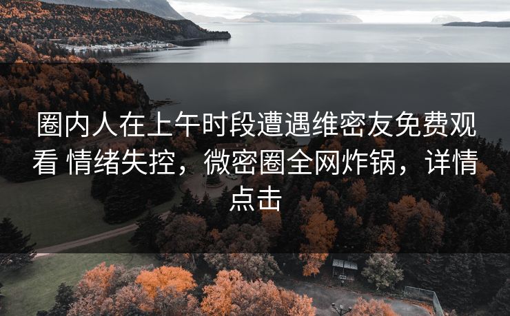 圈内人在上午时段遭遇维密友免费观看 情绪失控，微密圈全网炸锅，详情点击