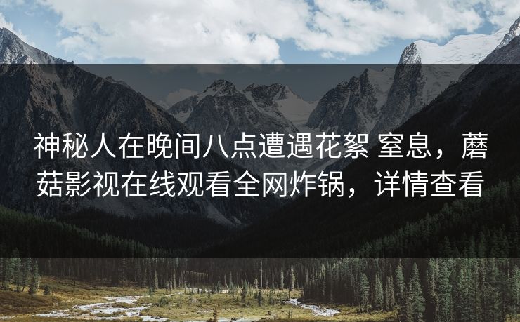 神秘人在晚间八点遭遇花絮 窒息，蘑菇影视在线观看全网炸锅，详情查看